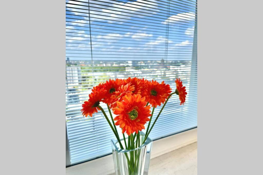 ORANGE 2 2xMetro fast WiFi 50'TV Netflix HBO AppleTV+ Panorama - Housity