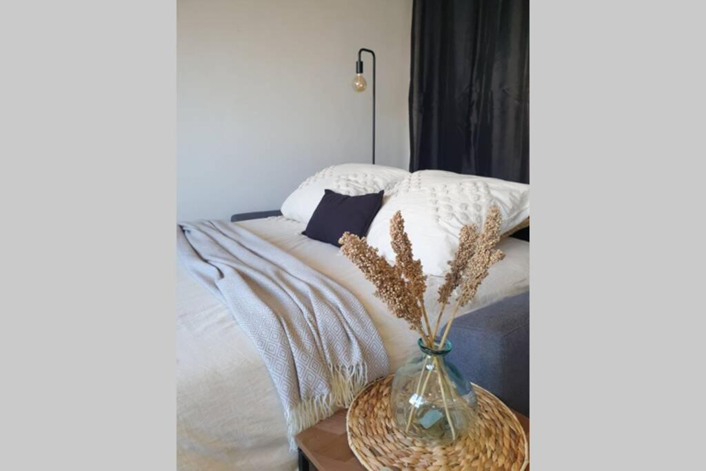 Studio COSY en bord de mer - Housity