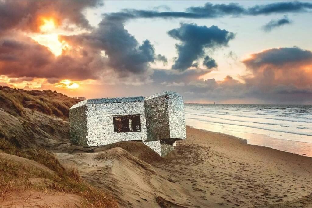 Studio COSY en bord de mer - Housity