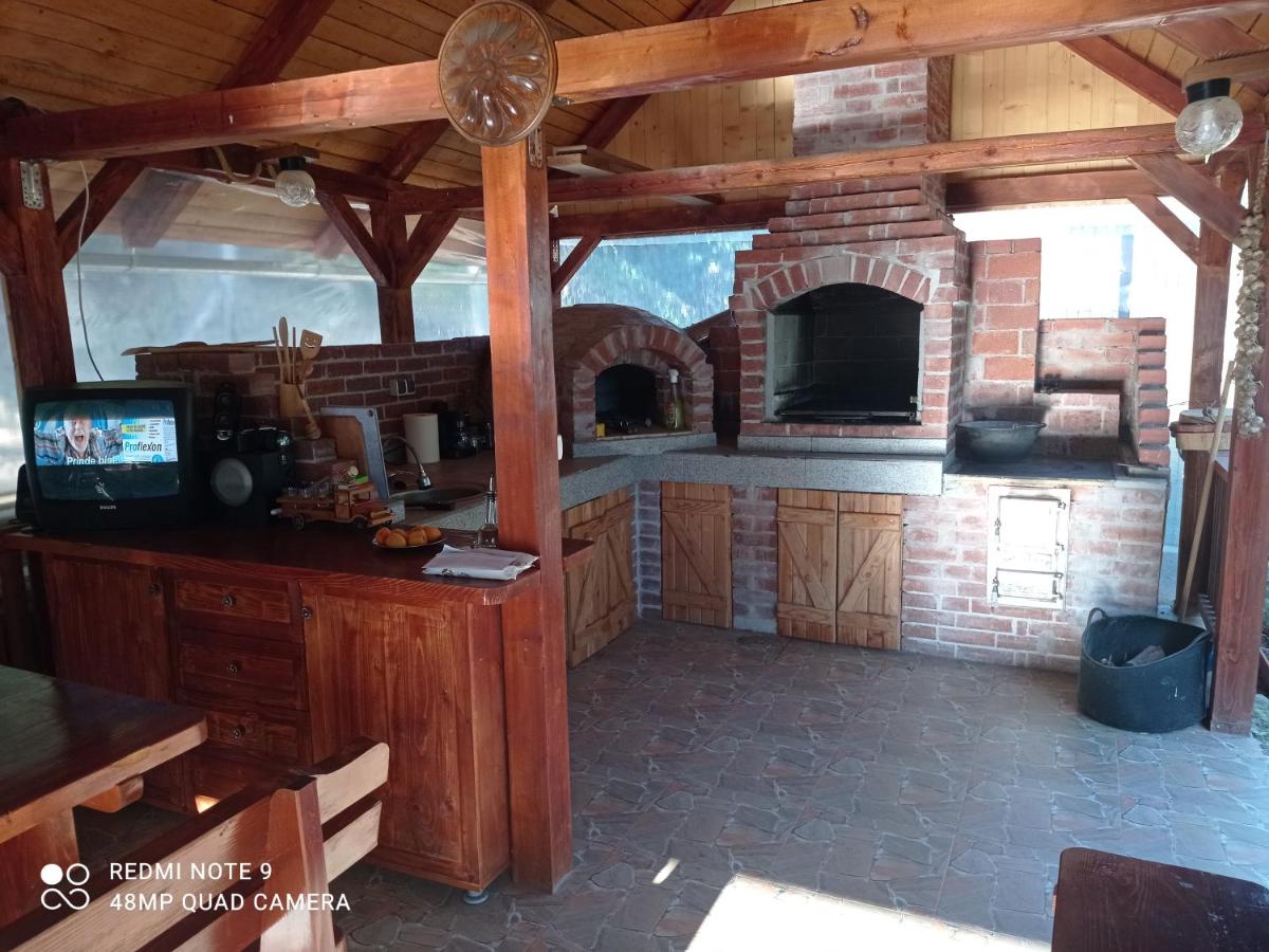 Cabana Piatra Plaiului - Housity
