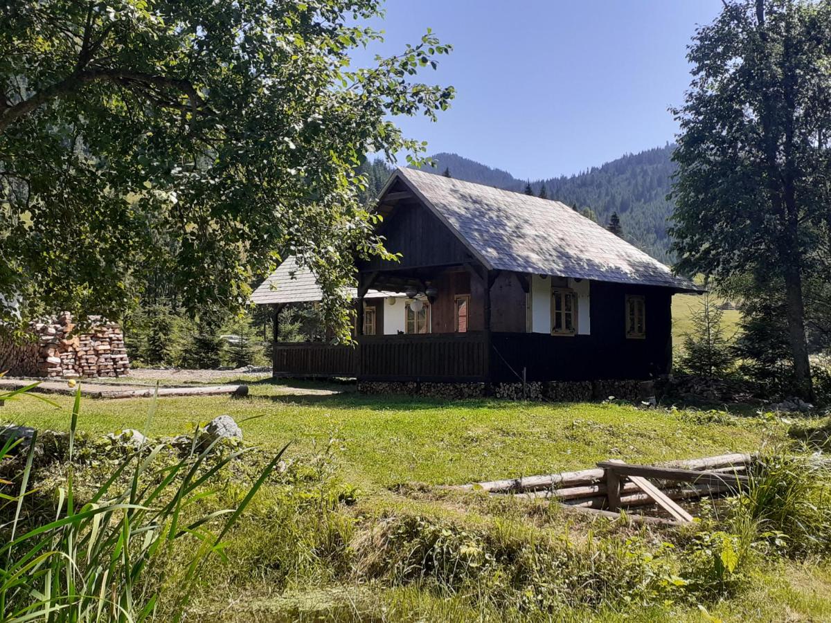 La Malu' Bistritei - casutele Valea Stanii - Housity