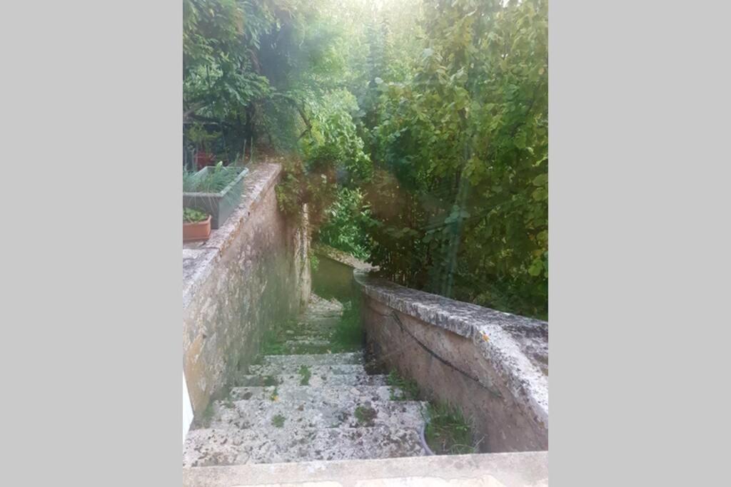 17th century townhouse and garden in market town - Housity