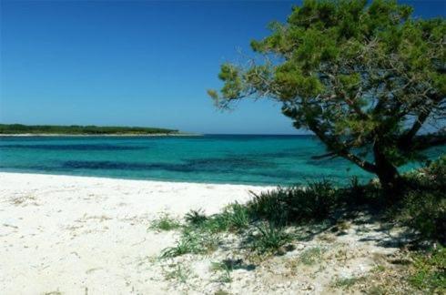 Casa vacanza a Tanaunella - Housity
