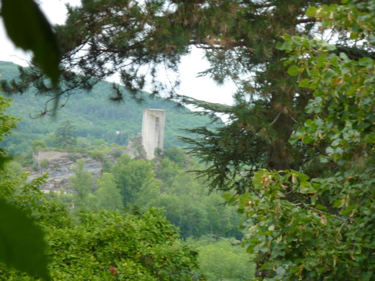 L'orée du bois - Housity