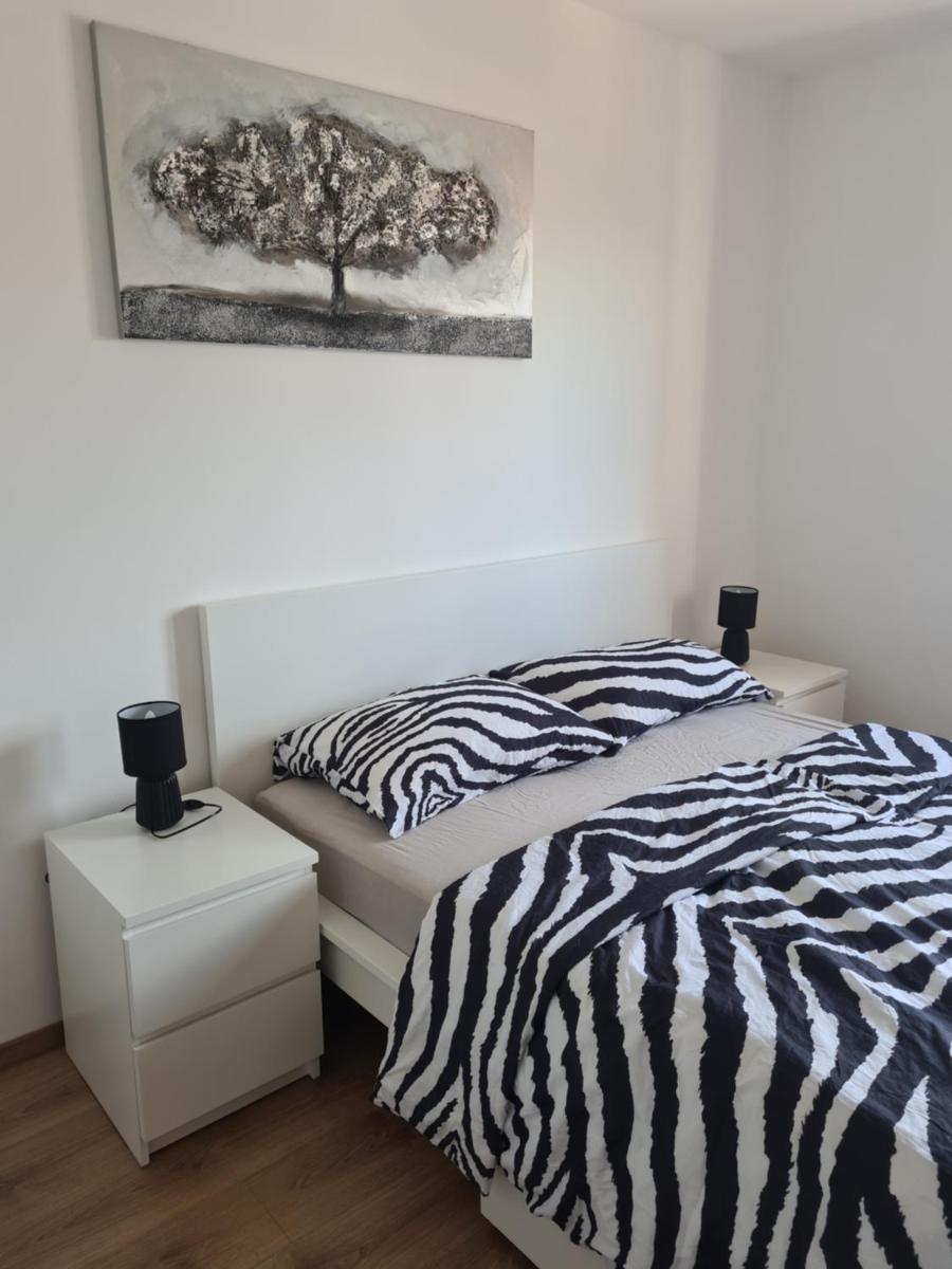 Apartments Petrovic - Housity