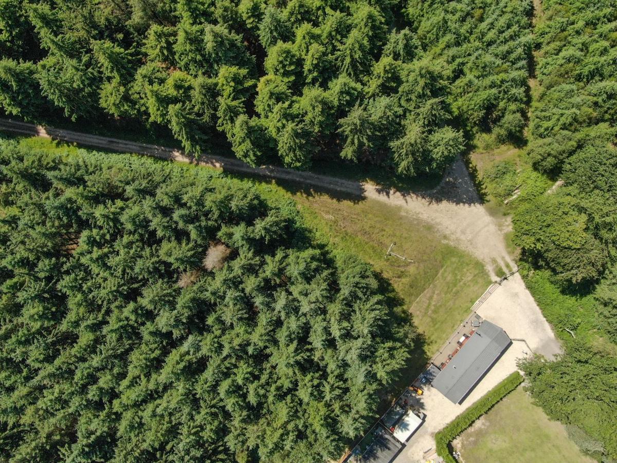 Haldon Forest Lodge, Exeter - Housity