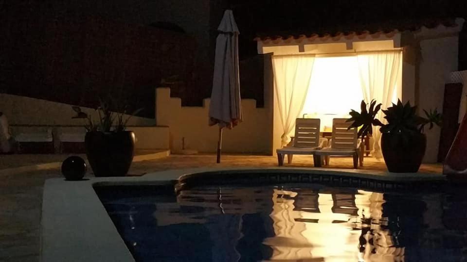 EL Gecko - Housity