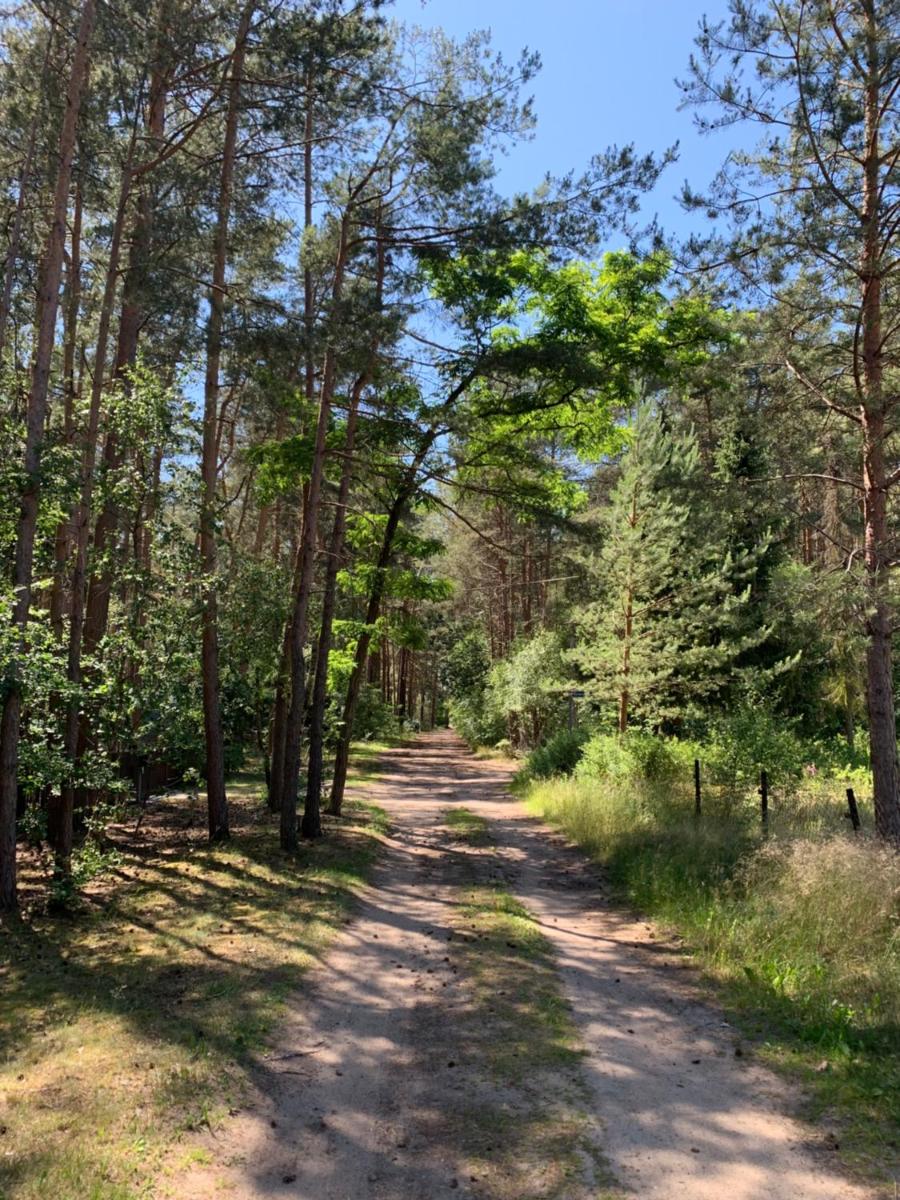 Bungalow im Wald - Housity