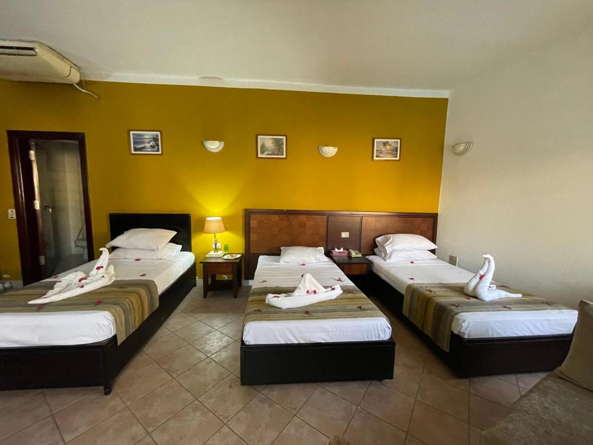 Naama Inn Hotel - Housity