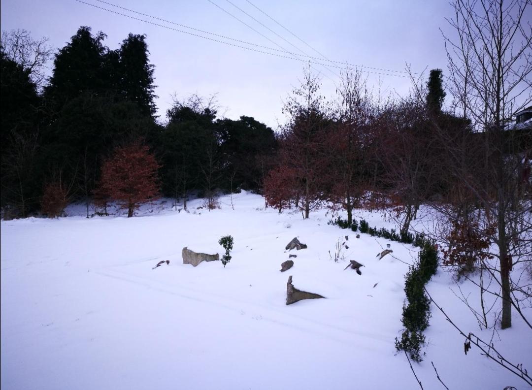 Bluebell Cottage - with hottub - Housity