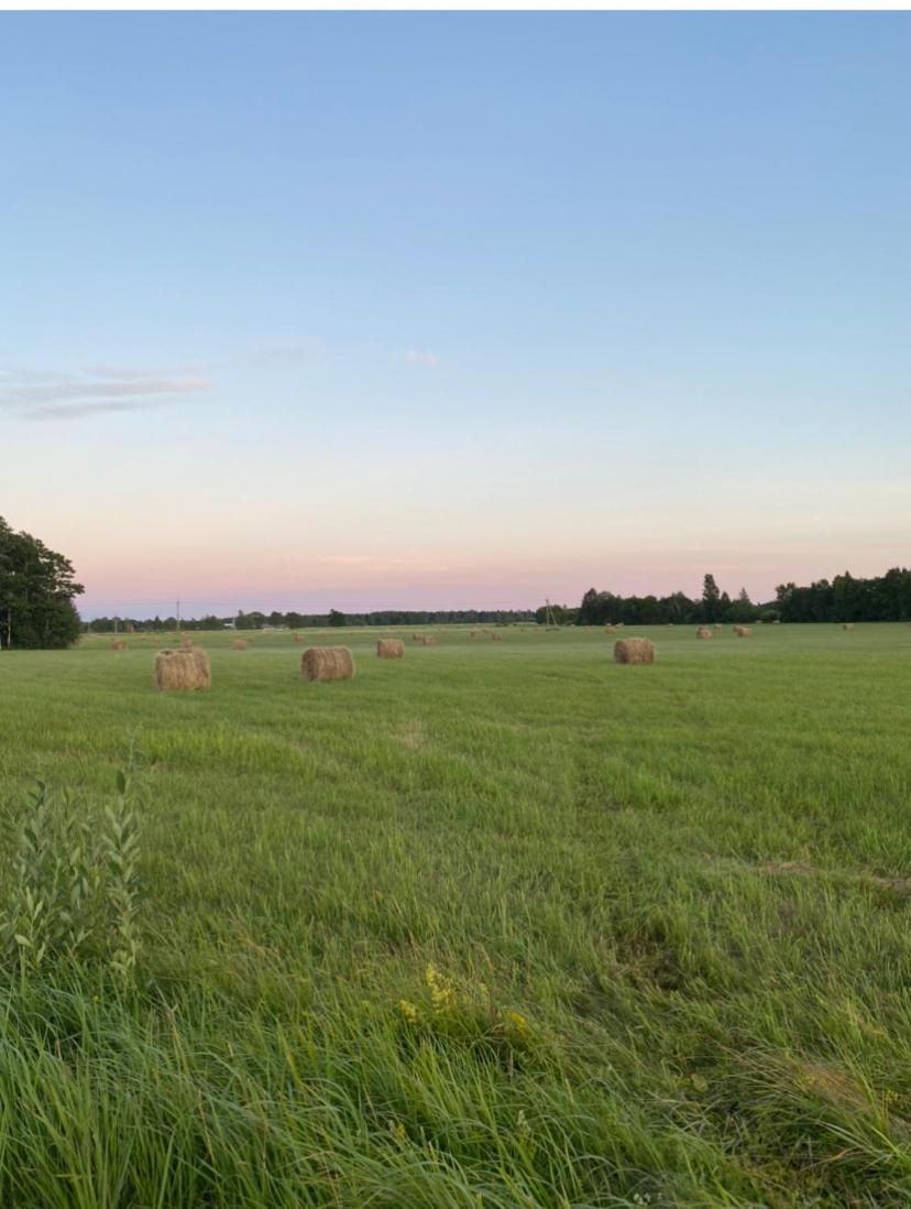 Private Hiiumaa Cottage plus Sauna - Housity