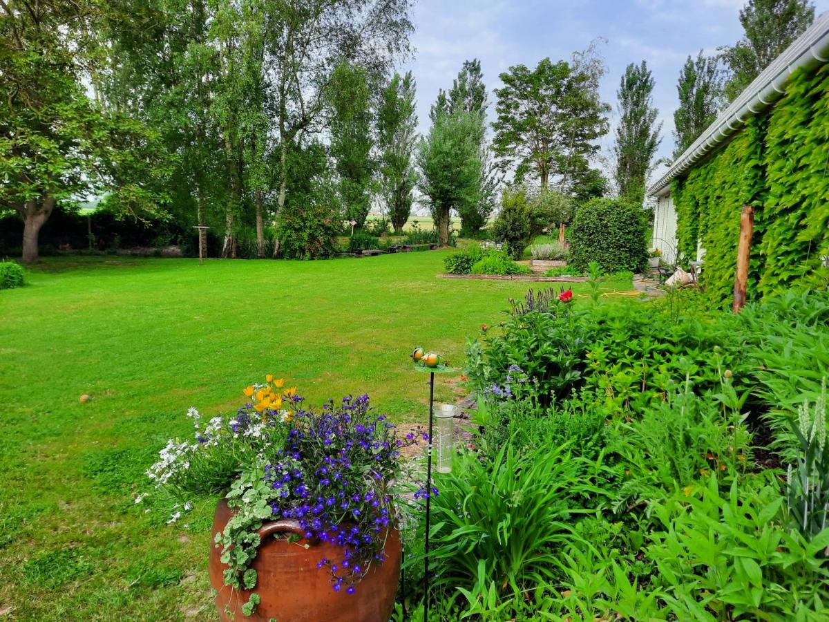 La Flandre entre plaine, mer et marais - Housity