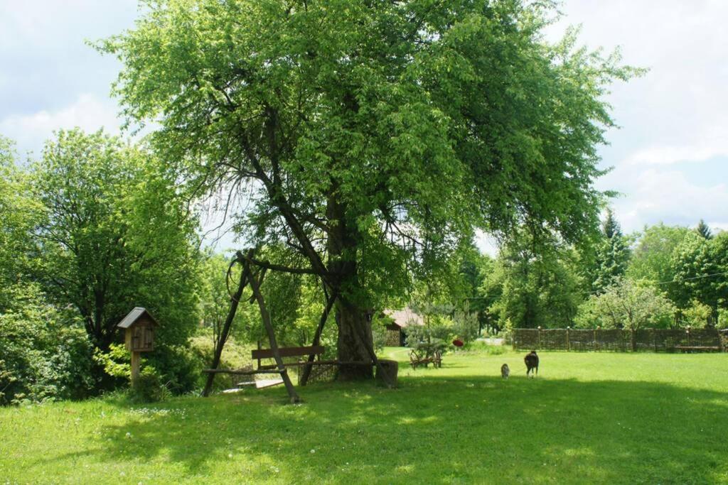 Agroturystyka Ropienka - Housity
