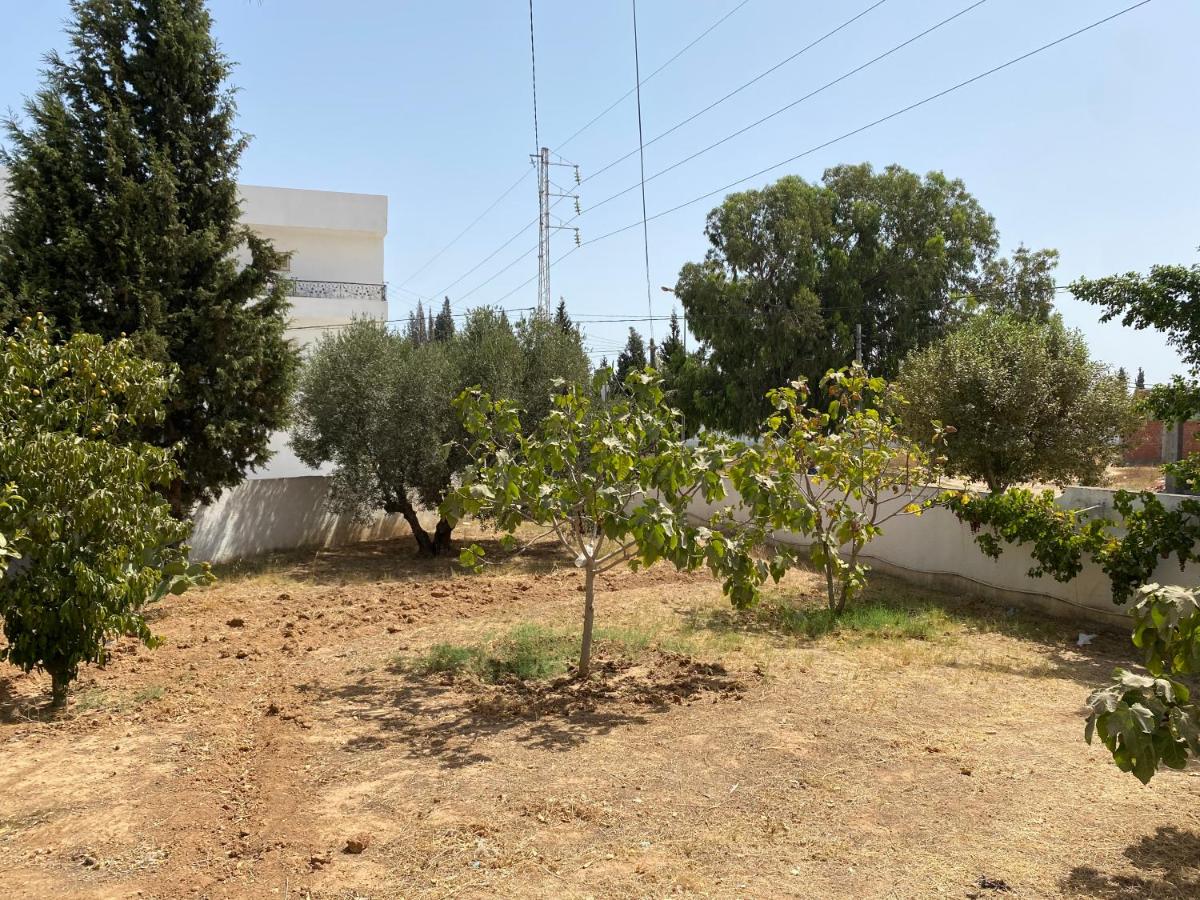 Villa Abdelaziz - Housity