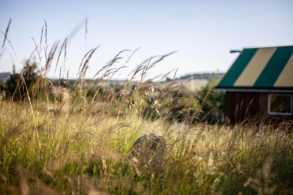 Glamping ?wiecie Nasz - Housity