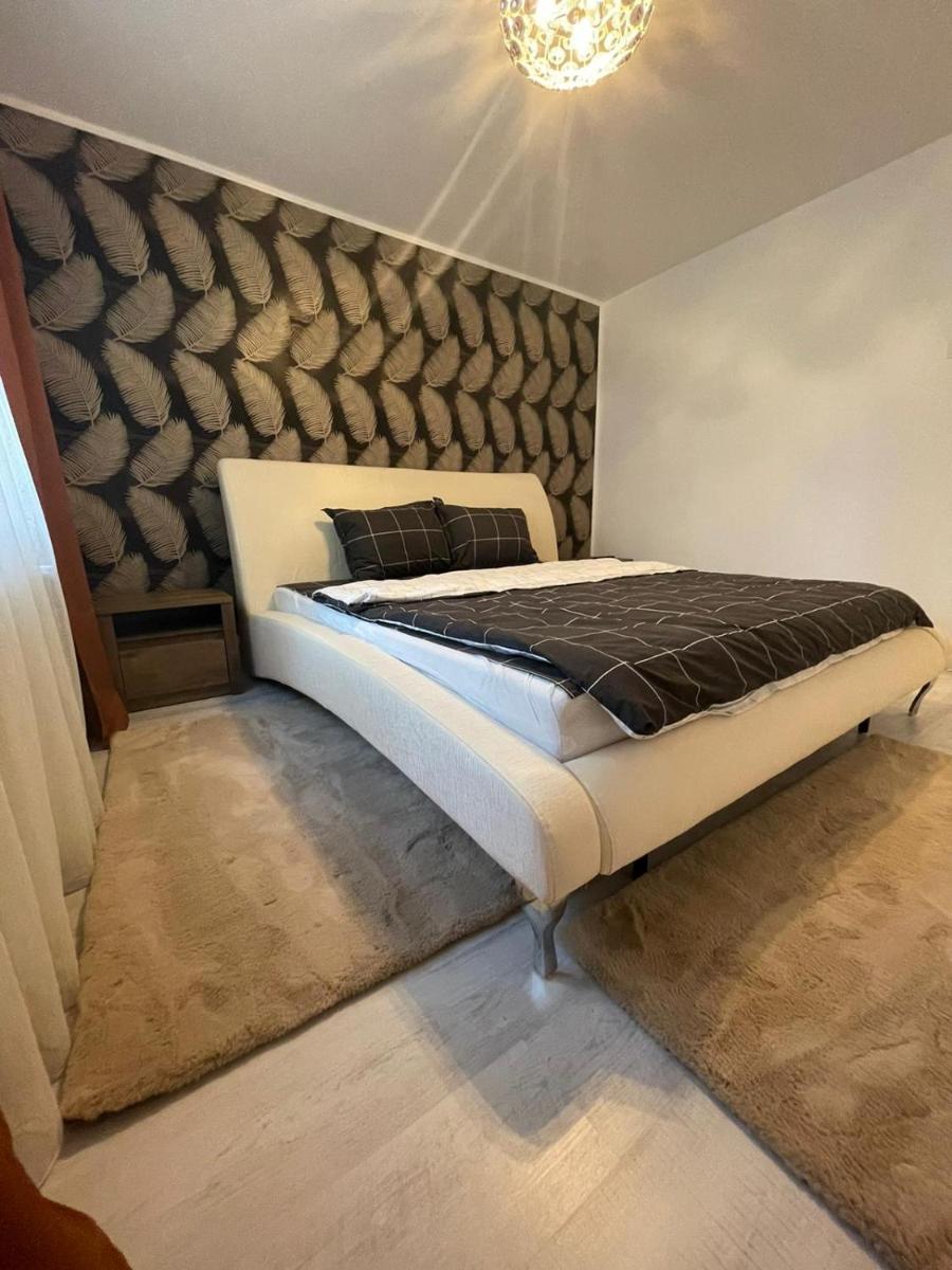 Luxury House Medusa - Housity
