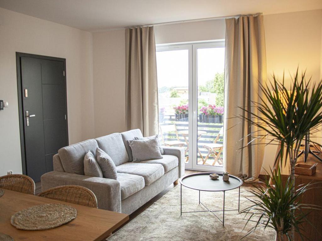 Przytulny Apartament Mickiewicza 14/5 - Housity