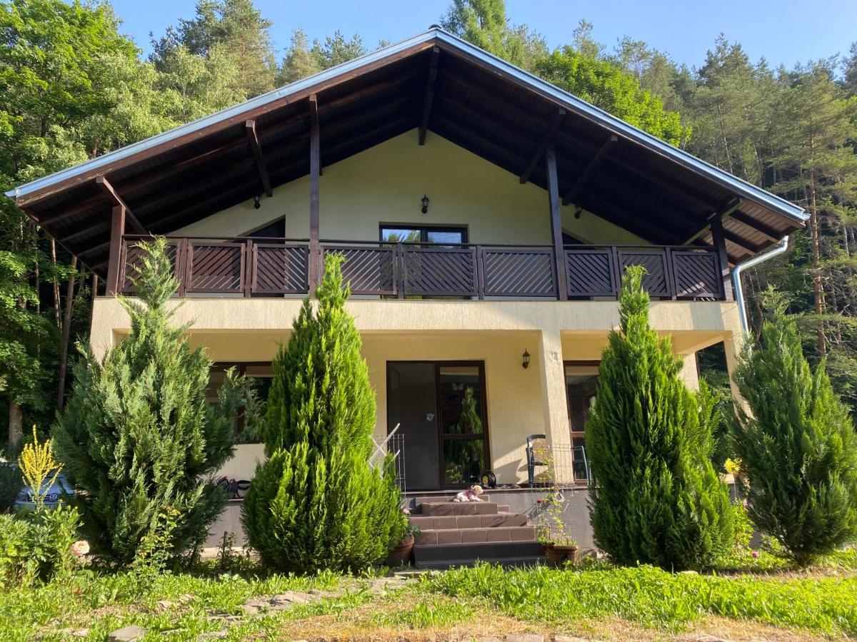 Nordic Villa Chiflika - Housity