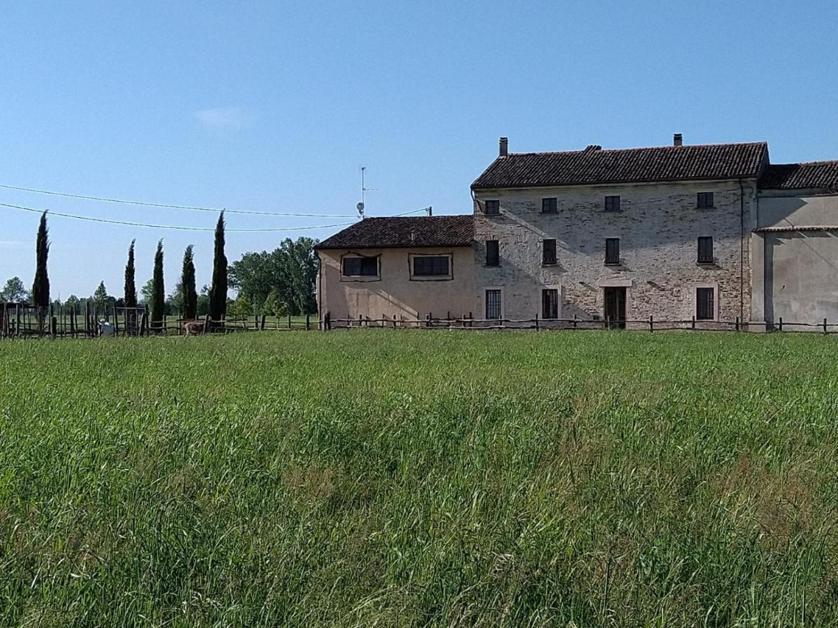 location San P 1 Castel Goffredo - Housity