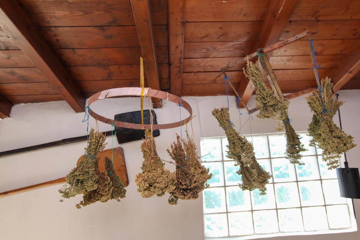 Traditional Guesthouse Asimakis Anifion - Housity
