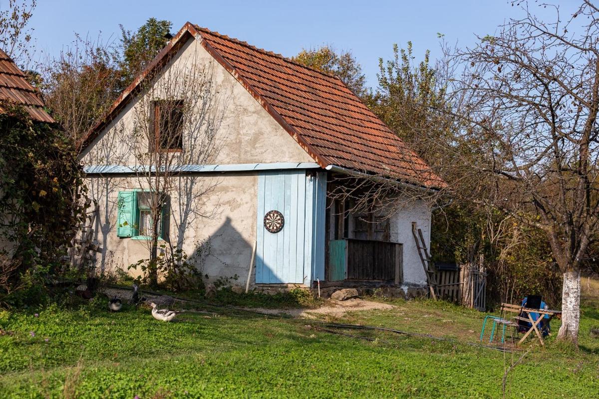 DeMerisier - Housity