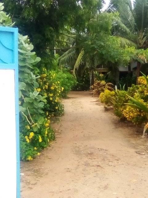 Suitetrails - Kokrobitey Apartments-GAL