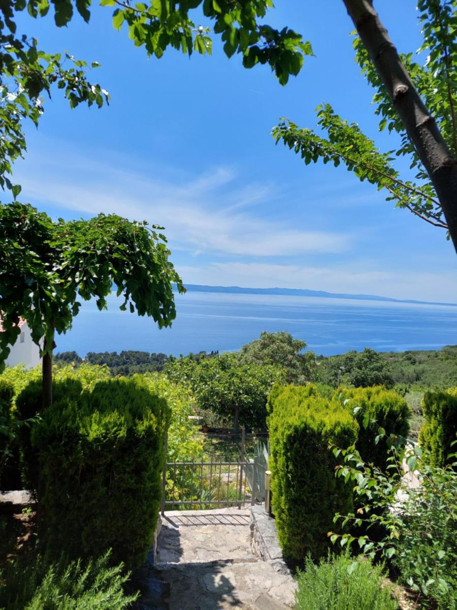 Villa Marija Podgora - Housity