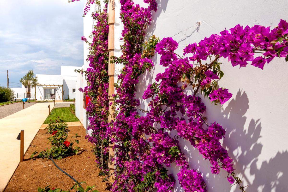 Jardín al aire libre en Eques Petit Resort