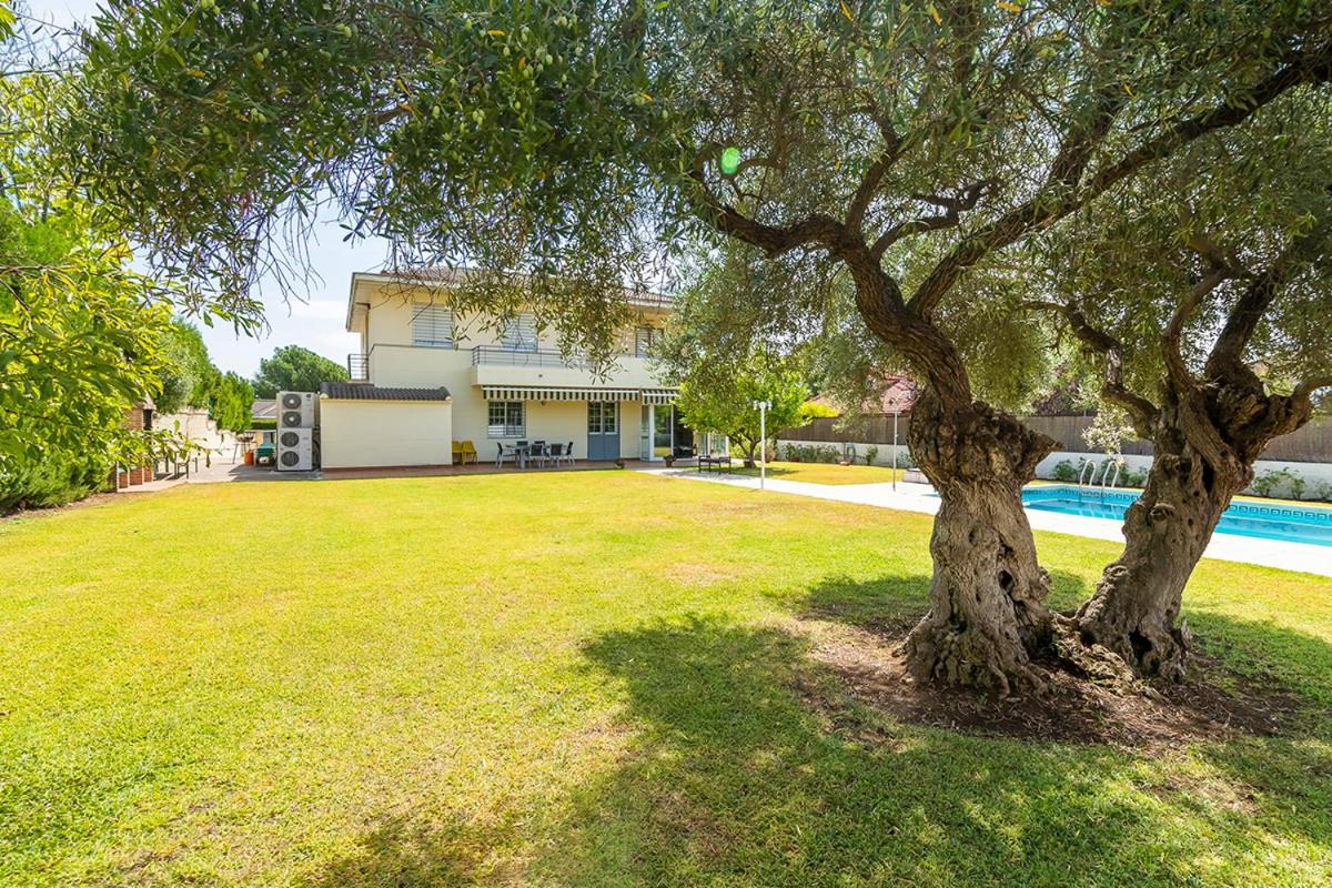 La casa del olivo en Córdoba - Housity