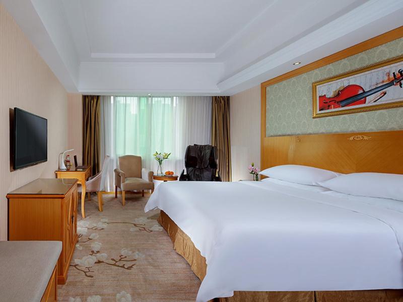 Vienna Hotel Yueyang Zhanqian Road - Housity