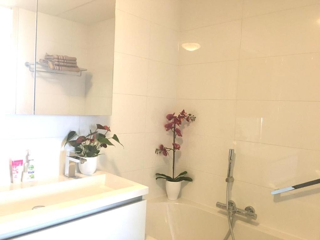 Home Inn Zandvoort the First Floor, 4 Persons, 2 bedrooms, free parking - Housity