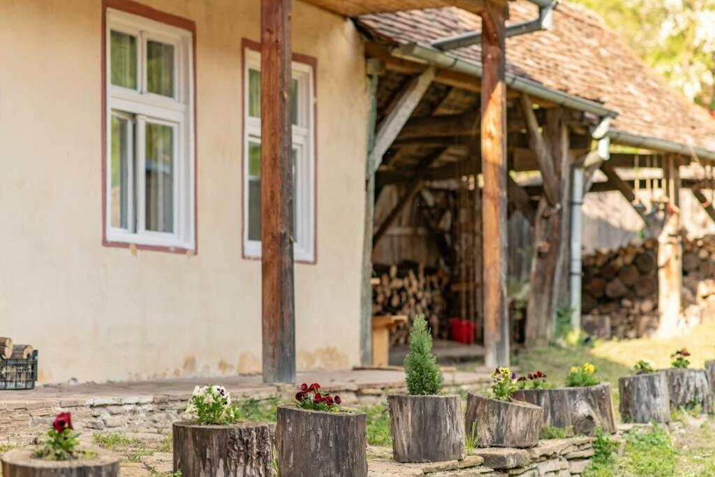 Experience Transylvania Florești 79 - Housity