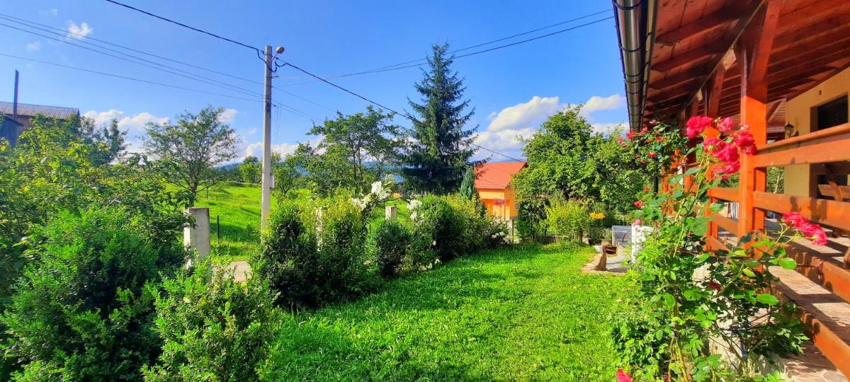Casa Andreea și Grigore Ursu - Housity