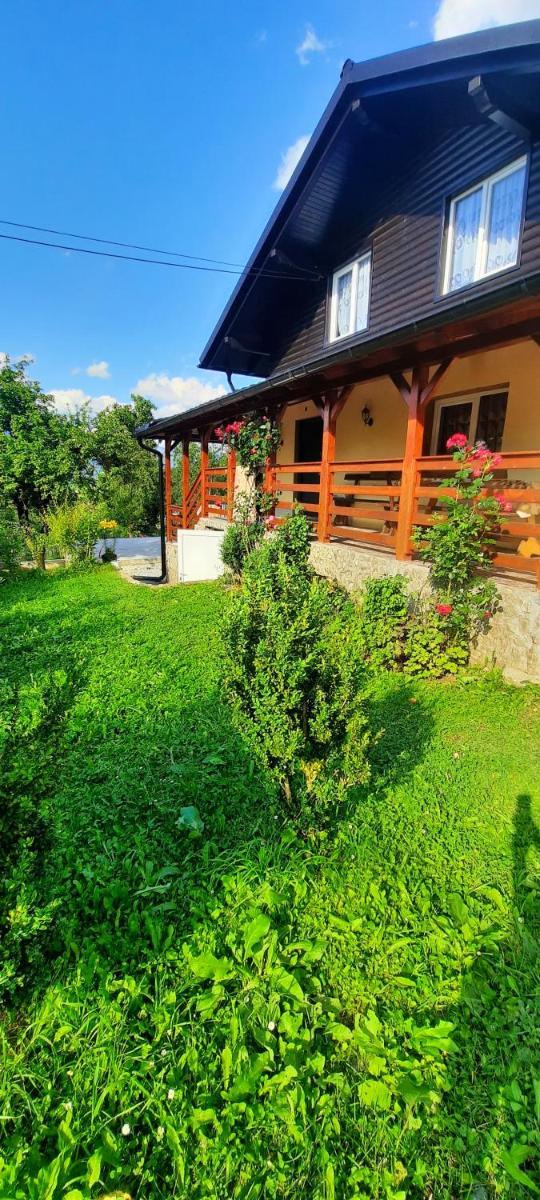 Casa Andreea și Grigore Ursu - Housity