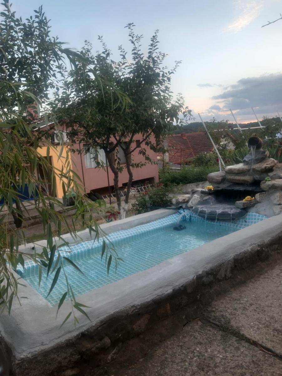 Casa Darius - Housity