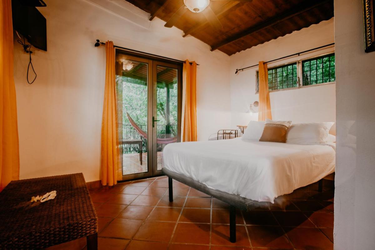 The Golden Frog Inn - Housity