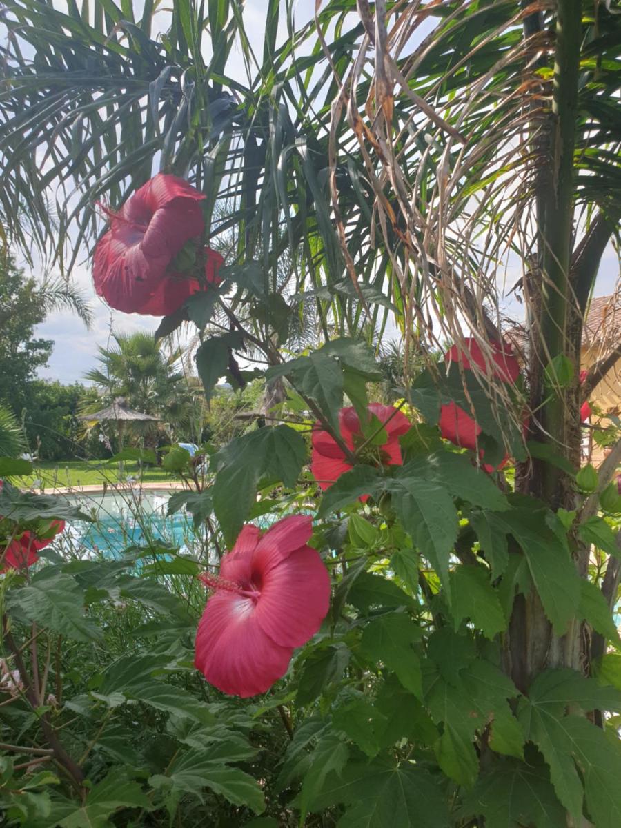 finca logement entier avec piscine - Housity