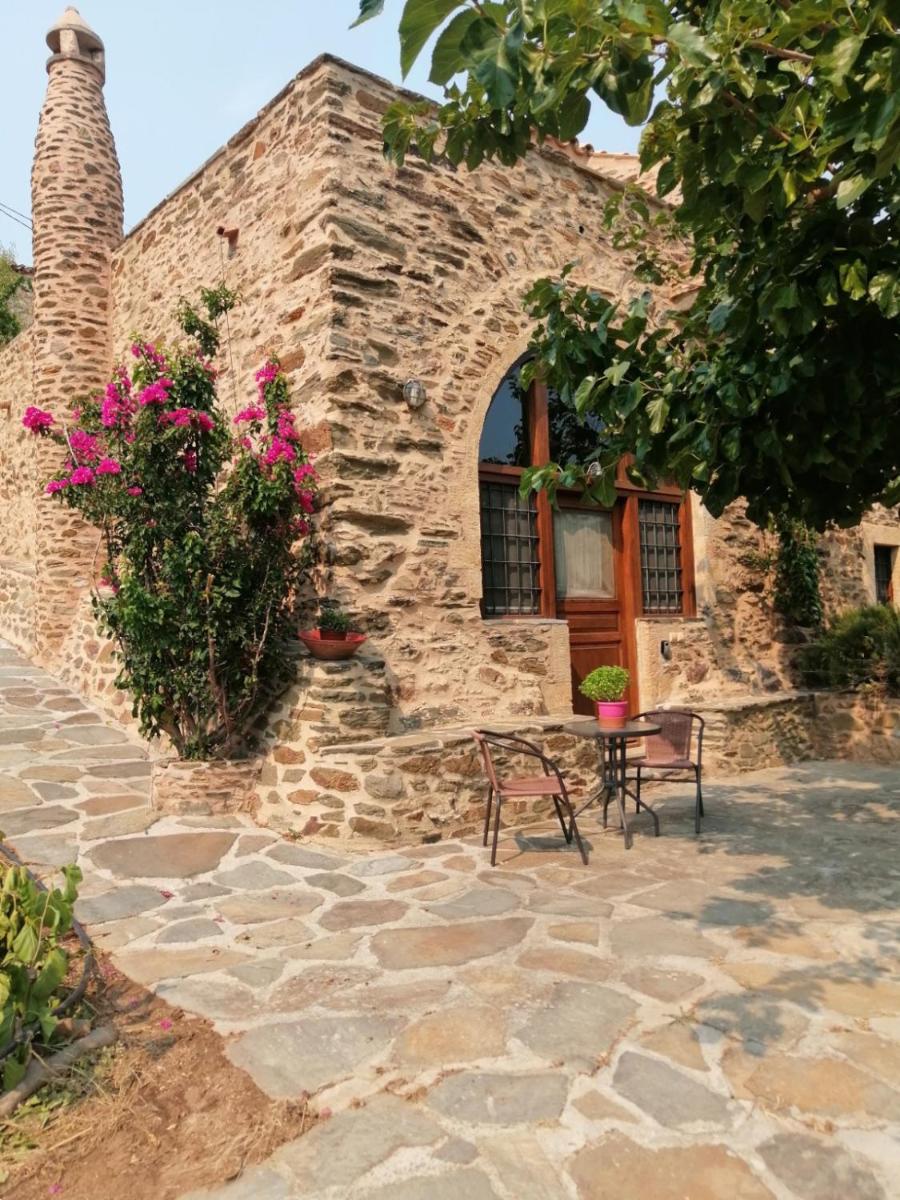 Suitetrails - GuesthouseKamara