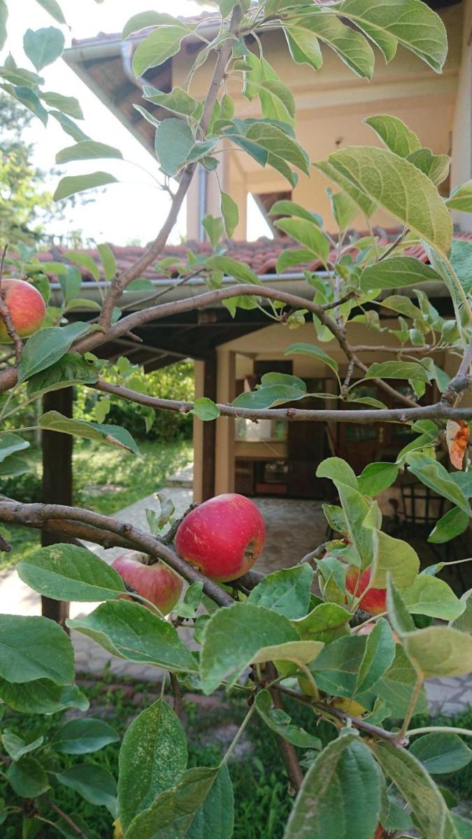 Kuca za odmor Cveta Despotovac - Housity