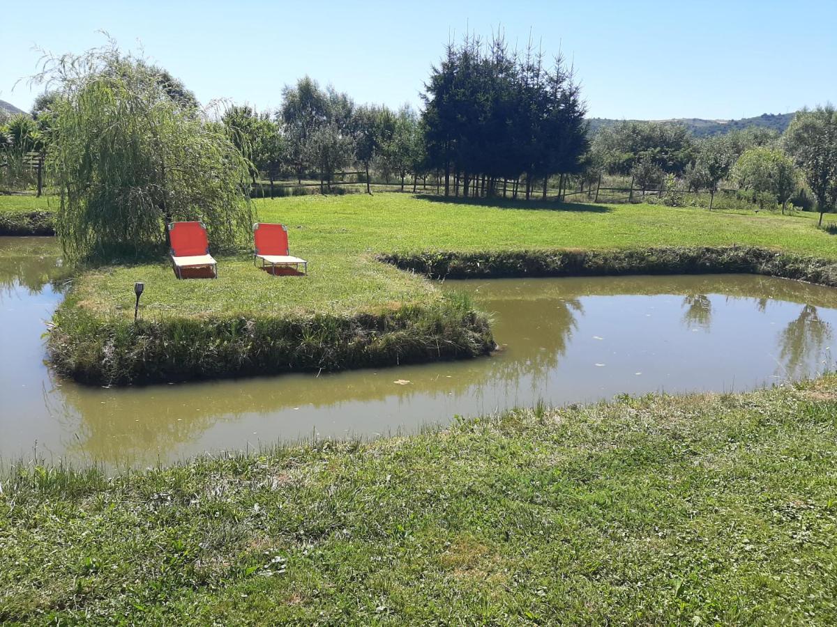 Kacsó Apartma - Housity