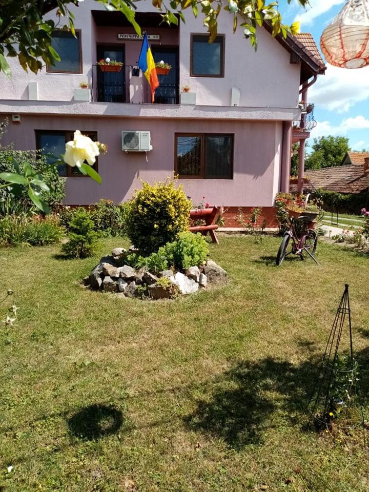 PENSIUNEA OANA - Housity