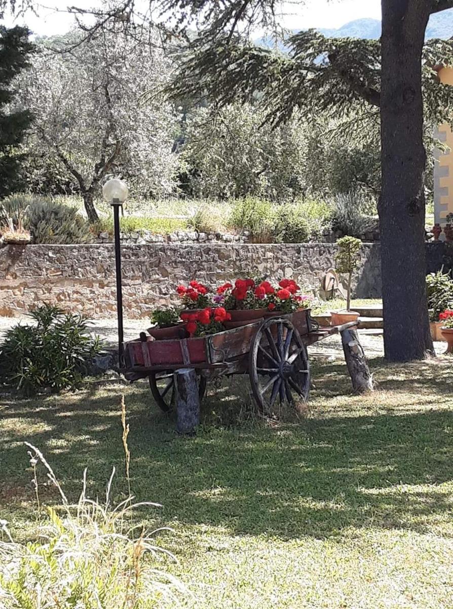 Agrifarm la Corte - Housity