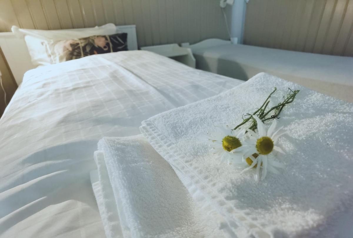 BanPim Beachside Lofoten - Housity
