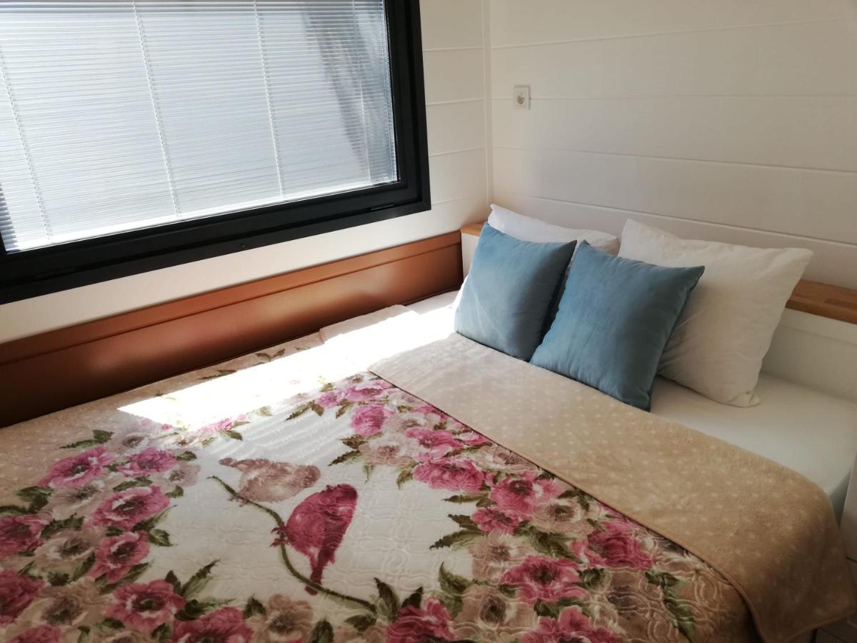Cozy Tiny House Surrounded by Olive Grove near Beach in Ayvacik - Housity