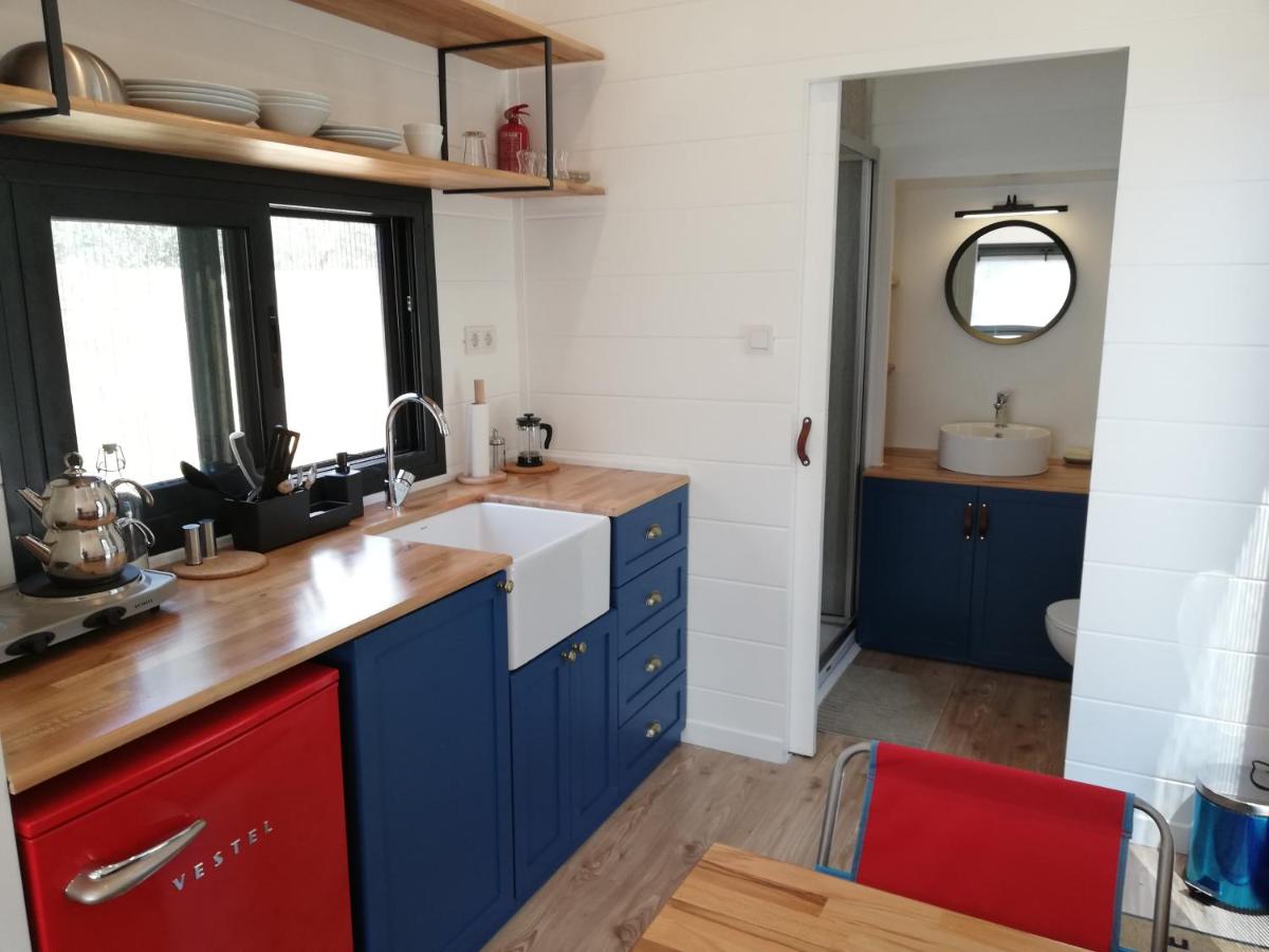 Cozy Tiny House Surrounded by Olive Grove near Beach in Ayvacik - Housity