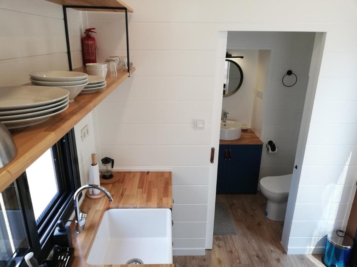 Cozy Tiny House Surrounded by Olive Grove near Beach in Ayvacik - Housity