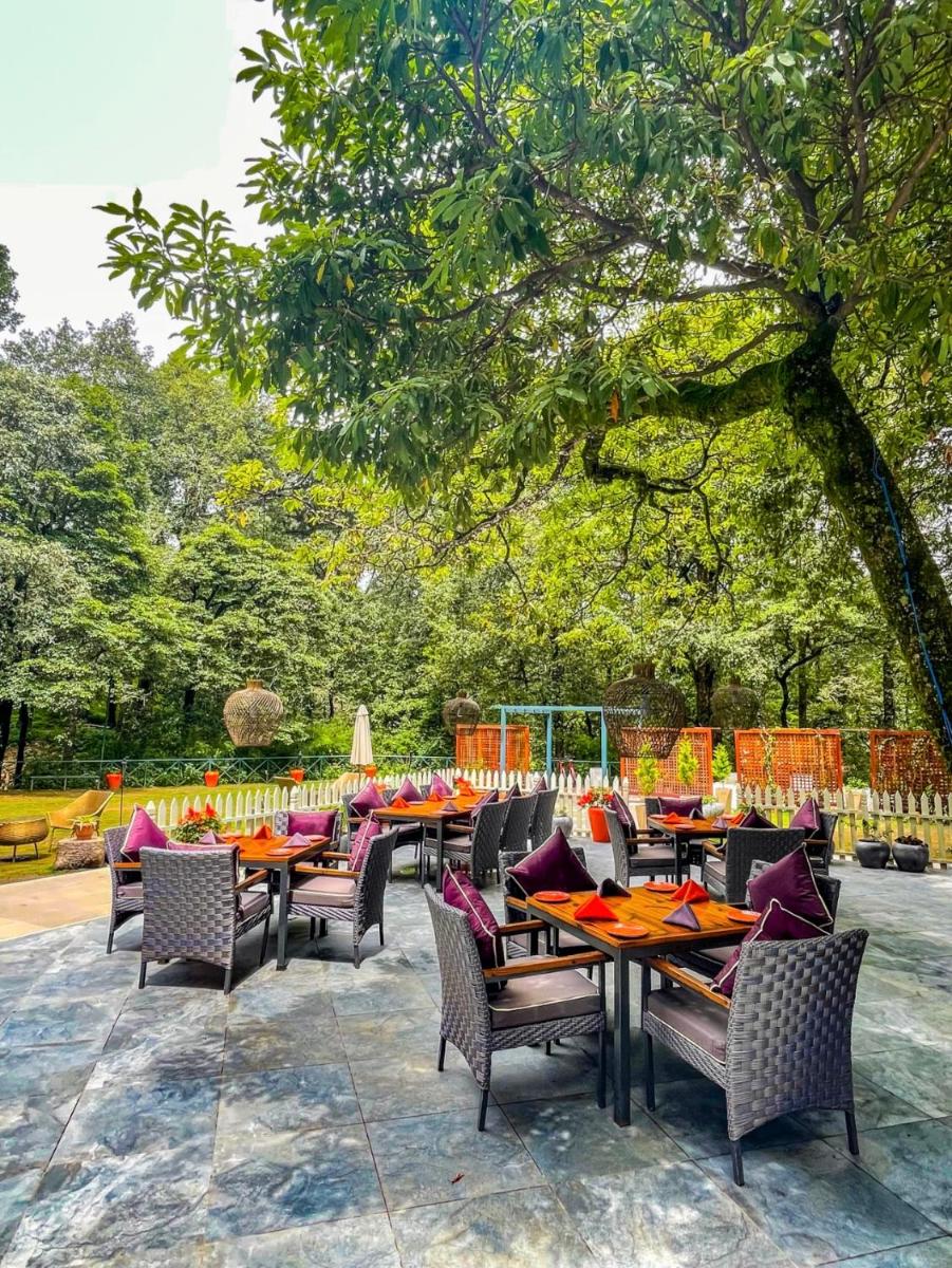 Ayar Jungle Resort - Housity