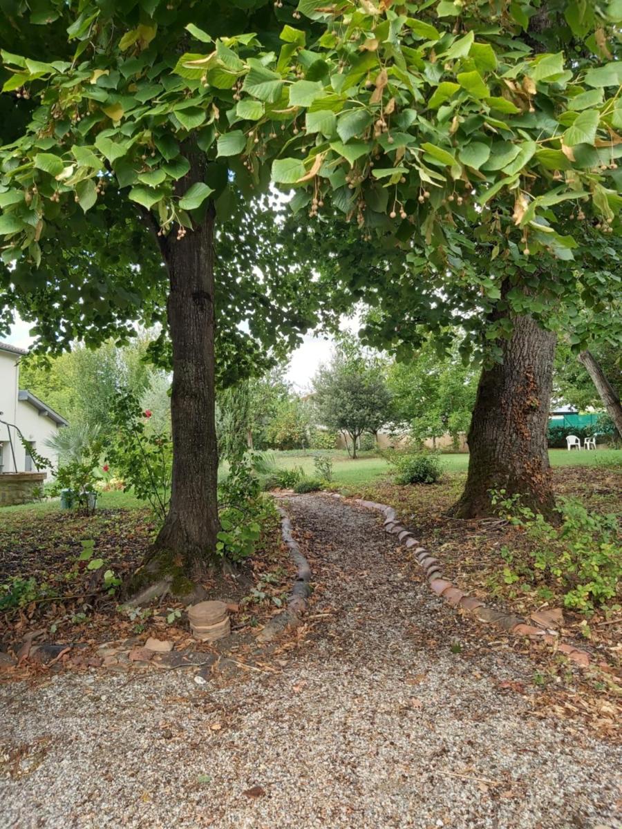 Ô Nature chéris mes voeux avant qu'ils s'enfuient - Housity