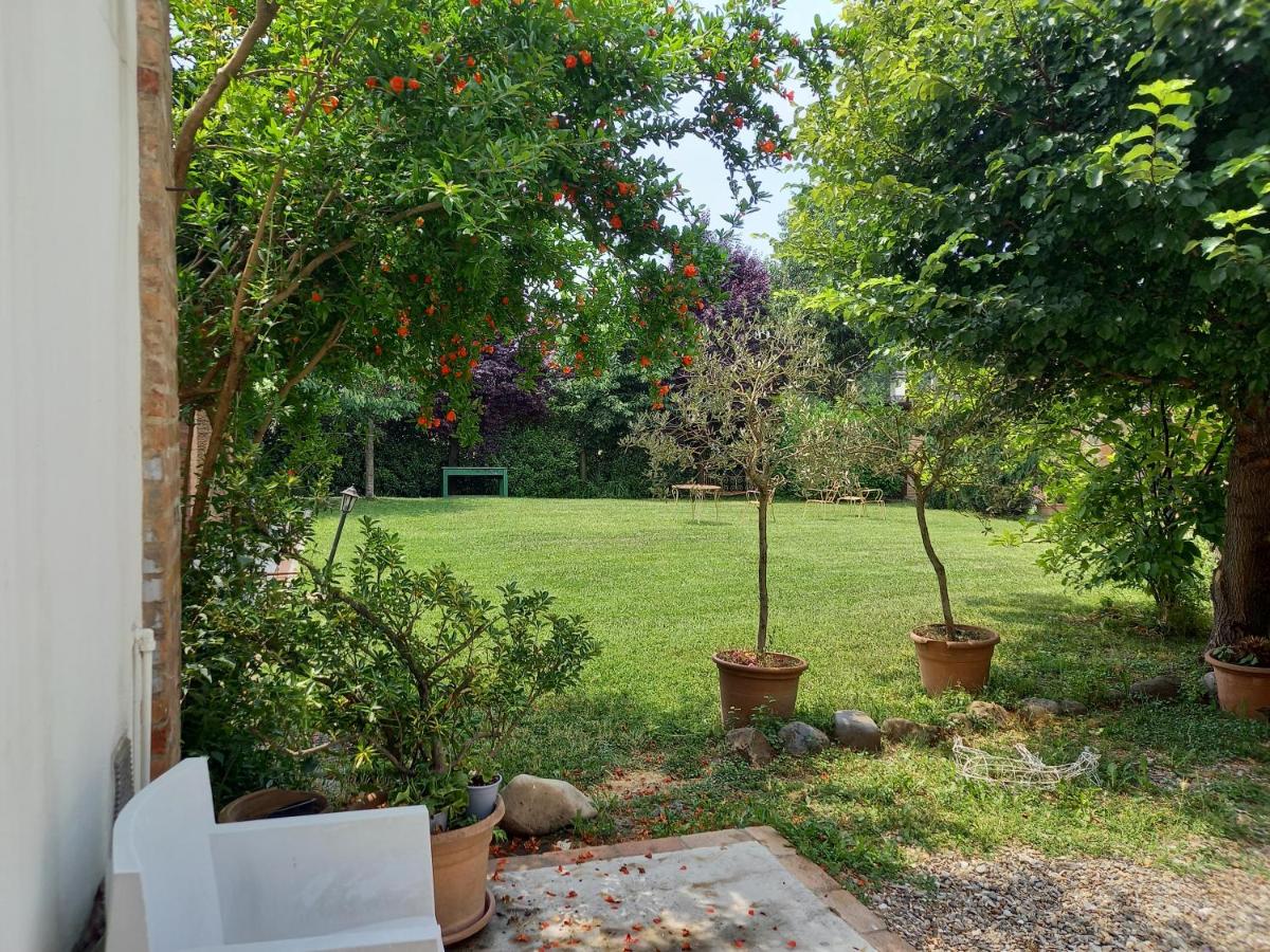 Marameo b&b - Housity