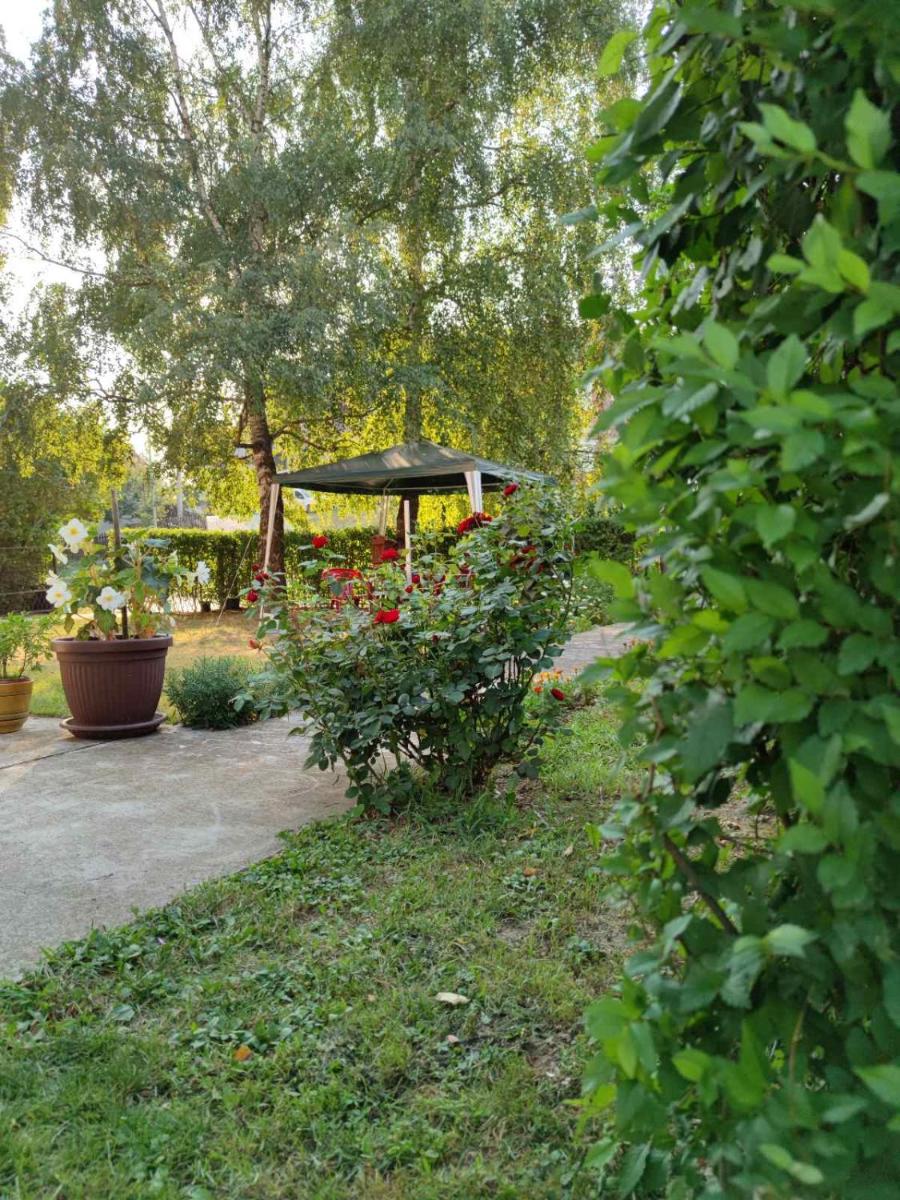 Apartman Vladimir - Housity